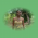 Picture of Alethia Wright James